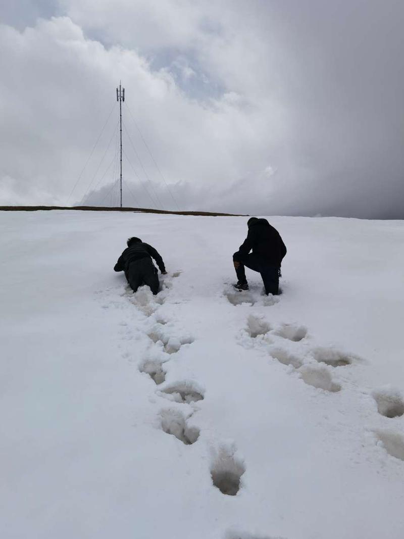 踏雪而至 新疆电信紧急抢通高原牧场基站信号(基站牧场信号抢修踏雪) 汽修知识