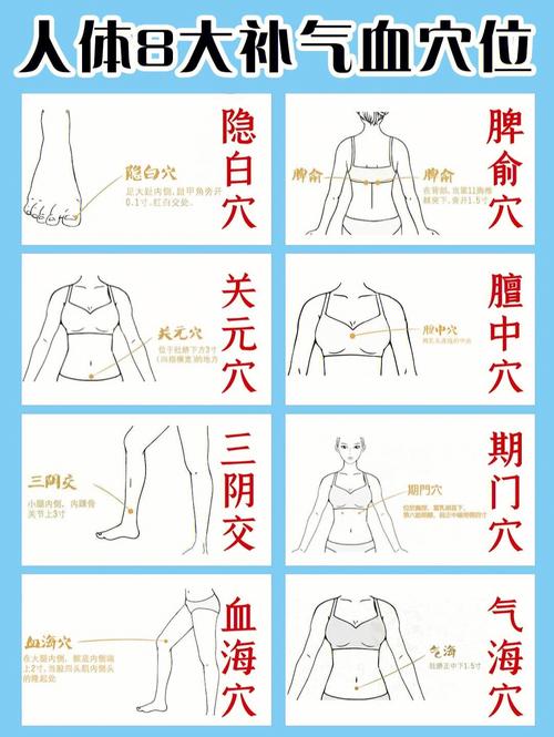 通经络、补气血、除麻木(经络气血黄芪补气血白术) 汽修知识