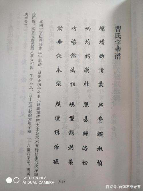 维扬东乡六家庄曹氏族谱（扬州江都大桥镇）(东乡六家桥镇氏族谱史话) 汽修知识