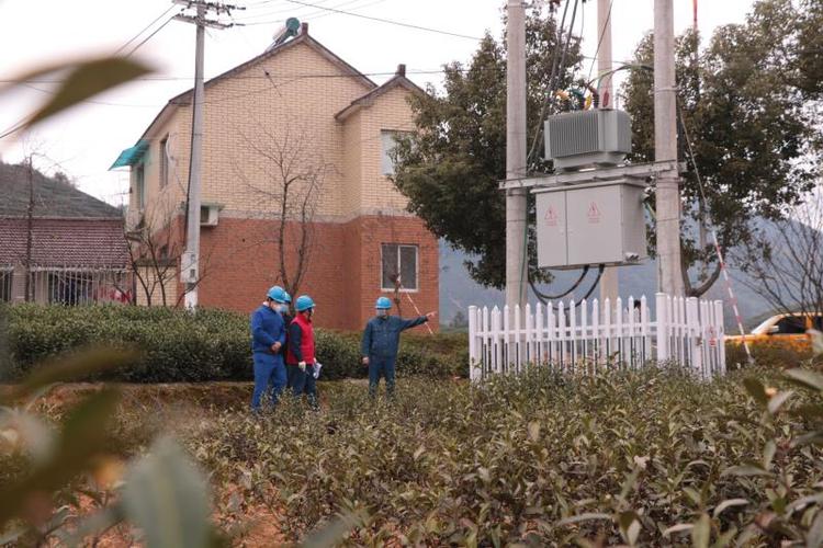 温州多举措保障全社会用电(电网用电电力局乡村举措) 汽修知识