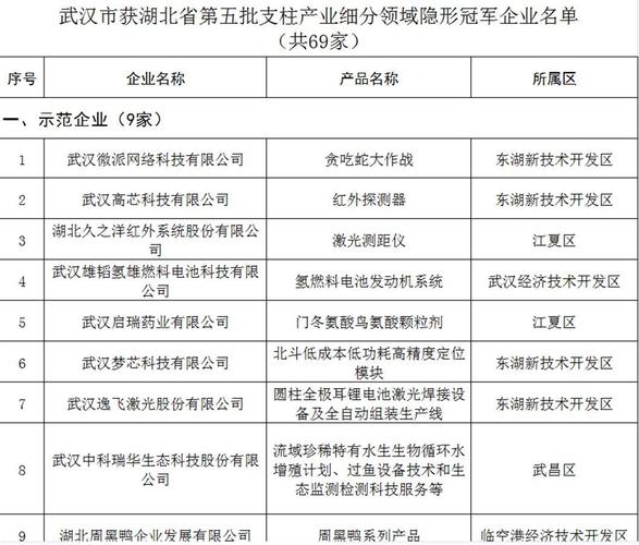 湖北第二批支柱产业细分领域隐形冠军企业名单出炉(股份有限公司有限公司科技有限公司科技股份有限公司首批) 汽修知识