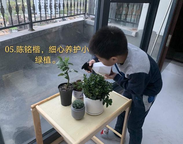 家庭绿植打理难养护能手来帮忙 范文模稿