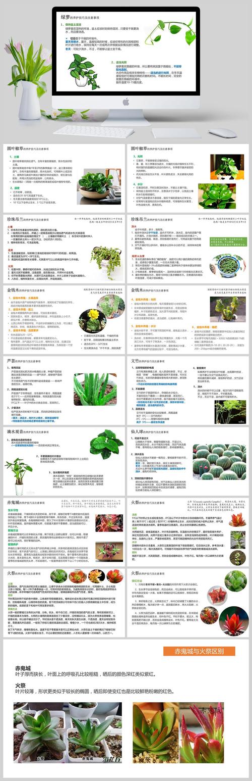 绿植养护需要注意些什么要求 范文模稿