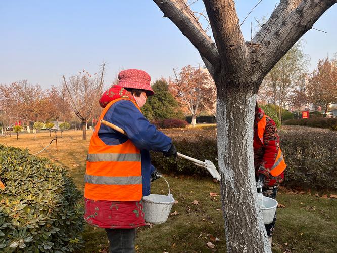 精细管理促提升｜做好冬季园林养护 确保植物安全越冬 范文模稿