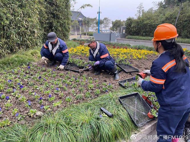 人勤春来早 启东抢抓绿化养护黄金期 范文模稿