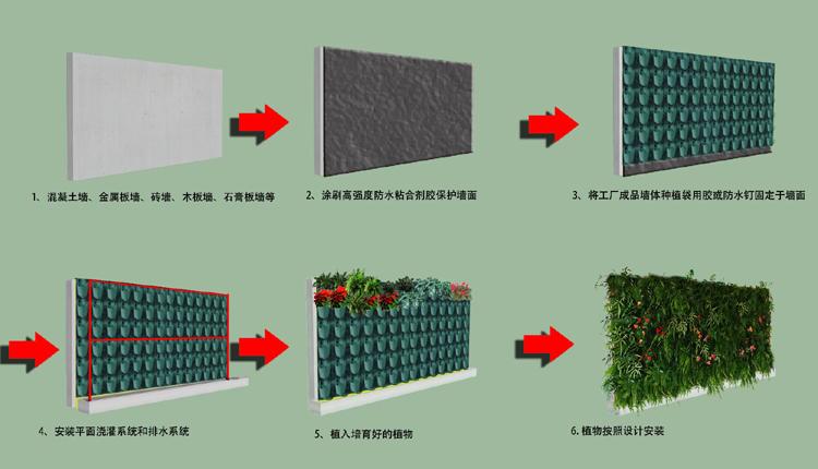 室内立体绿化植物墙室内垂直绿化植物墙养护方法 范文模稿