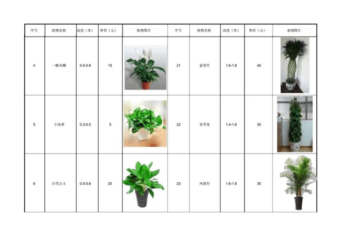 2024年室内植物墙价格制作预算 范文模稿