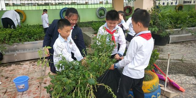 双流实验小学东区植物养护课程一 范文模稿