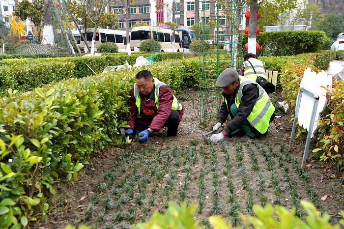 补植正当时 增绿又添彩 松原市全面开展道路绿化补栽工作 范文模稿