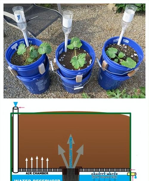 自家小院开垦出来种花种菜奉上6种灌溉技巧自动浇水轻松许多 范文模稿 自家小院开垦出来种花种菜奉上6种灌溉技巧自动浇水轻松许多 范文模稿