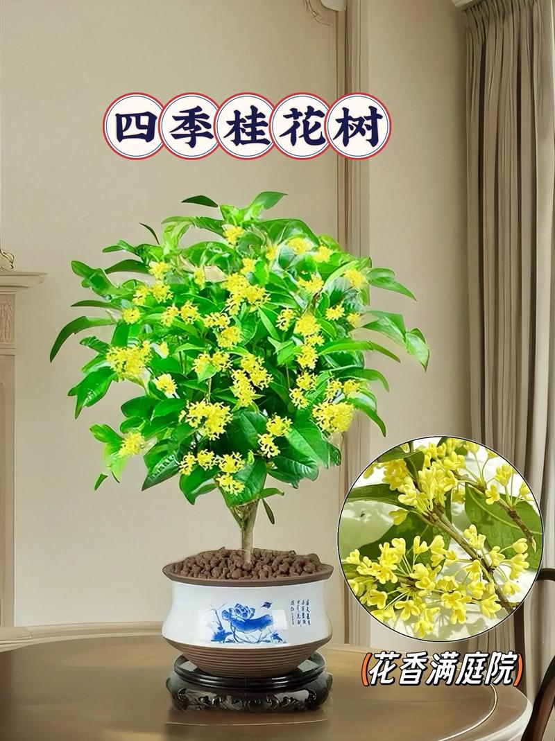 适合庭院养的花有哪些推荐9种合理搭配庭院四季皆美 范文模稿 适合庭院养的花有哪些推荐9种合理搭配庭院四季皆美 范文模稿