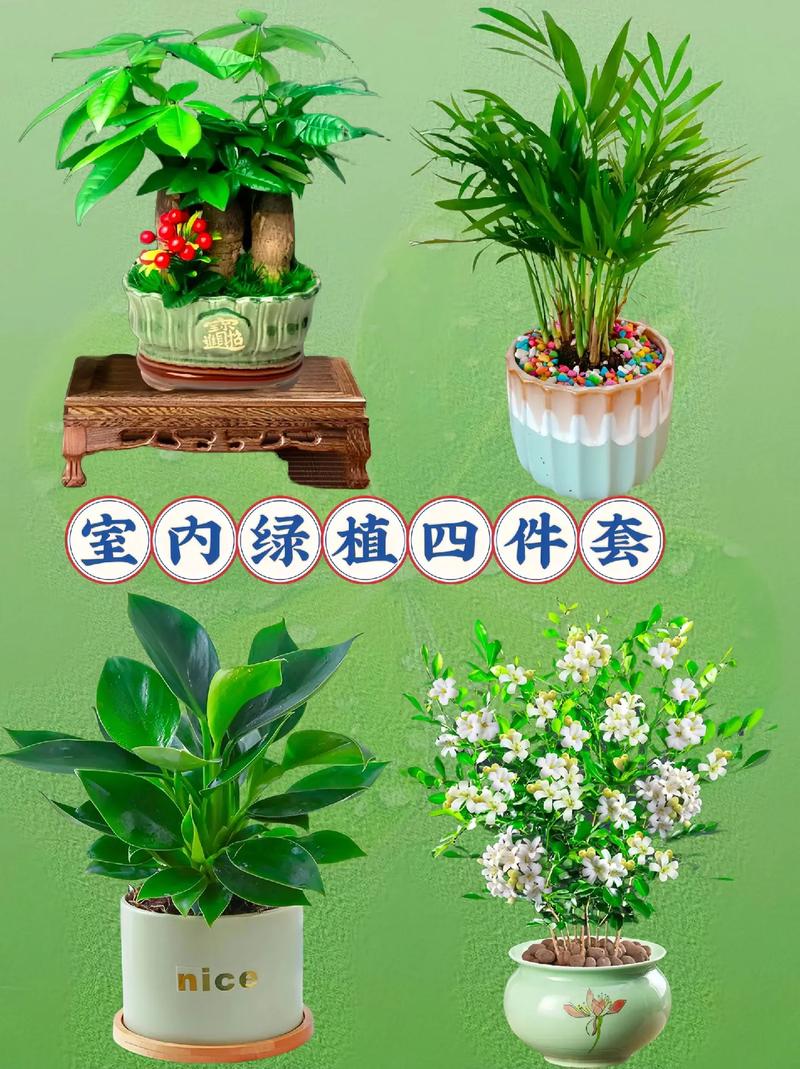 零基础也能成为绿色农夫用居家绿植种植法让生活更美好 范文模稿 零基础也能成为绿色农夫用居家绿植种植法让生活更美好 范文模稿