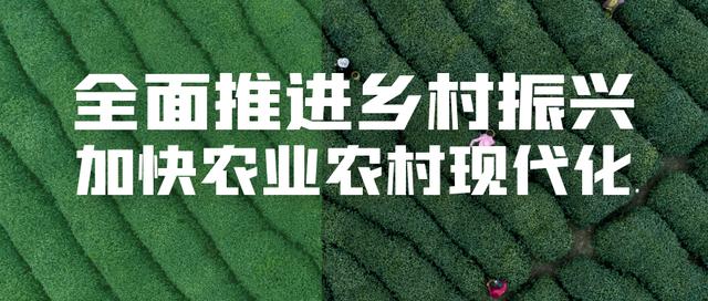 南召县云阳镇农村公路勤养护 乡村振兴增动力 范文模稿 南召县云阳镇农村公路勤养护 乡村振兴增动力 范文模稿