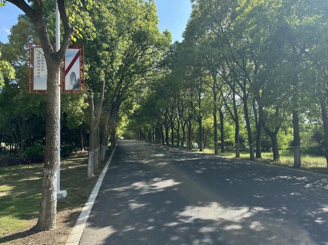 崇明这条道路获评市级四好农村路 范文模稿