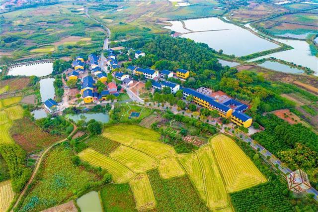 为小动物建通道江夏多了一条串山连湖的绿色门户大道 范文模稿