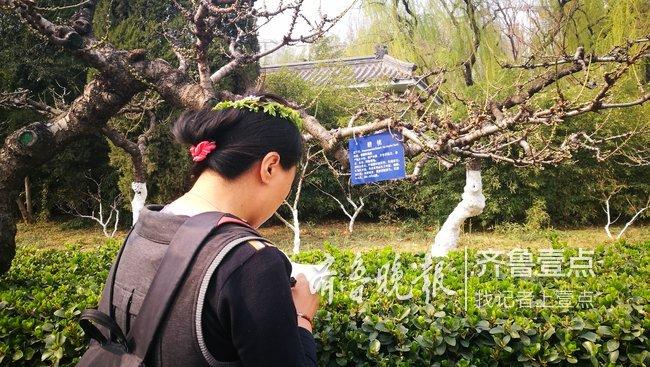 湖北职院医学院为花木制作身份证 校园变成植物科普教育基地 范文模稿