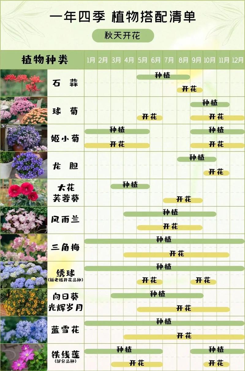 花境植物的配置与养护技巧 范文模稿