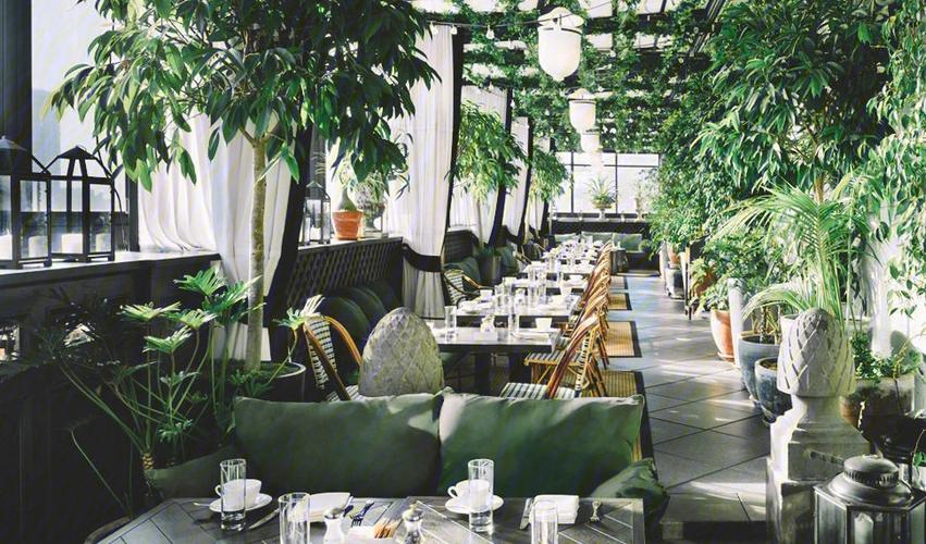 24绿植墙让你的餐厅活起来 范文模稿