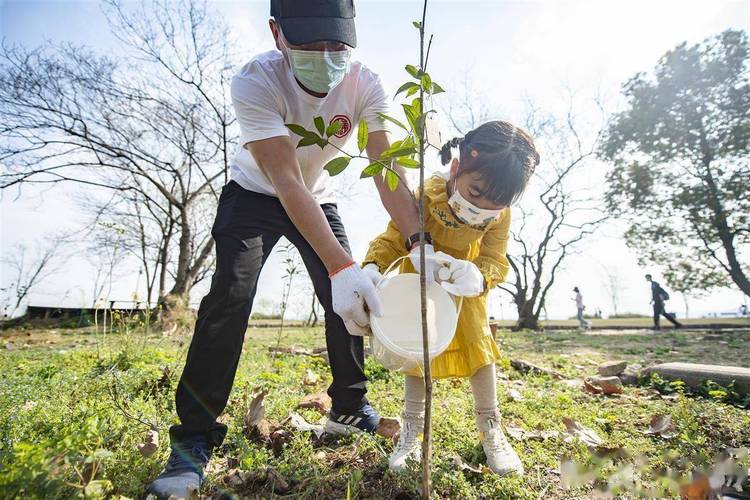 周末带着家人孩子去成都周边植树吧 范文模稿