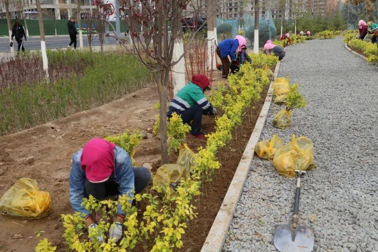 江阴稳步推进绿化补植工作 范文模稿