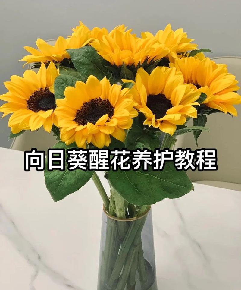 收到鲜花后这样保养美丽的花儿还能再开两个星期 范文模稿