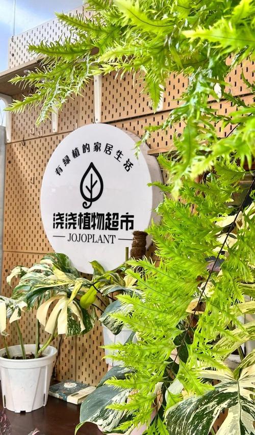 送福利年销售额2000万里水90后把ins热植销量做到淘宝第一 范文模稿