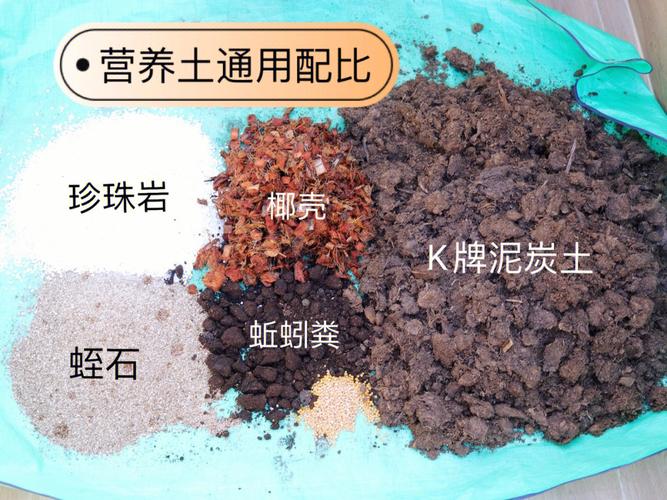 养花旧盆土并非全是毒一妙招让其秒变营养土无需晒烤 范文模稿