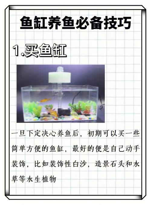 养鱼人日常如何打理和维护鱼缸听听有10年经验的老鱼友怎么说 范文模稿
