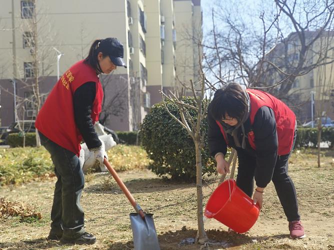 上高街道华新社区物业开展植绿护绿活动 范文模稿