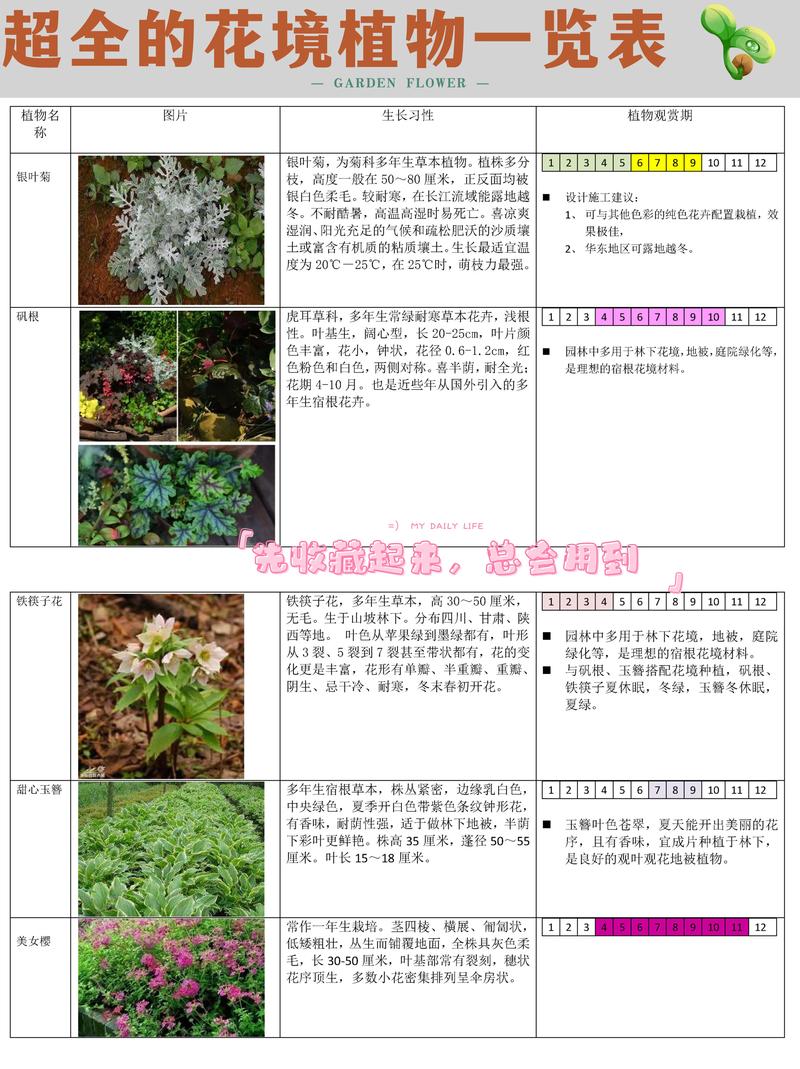 花园植物叮一份花园养护指南请查收 范文模稿