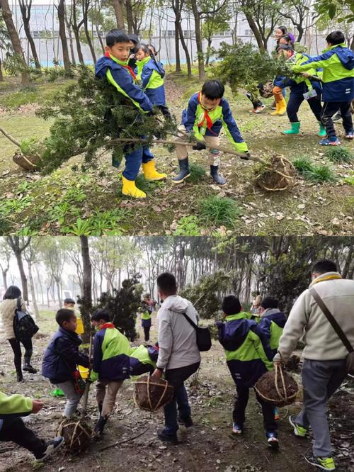 不用等到植树节诸暨这31个地方现在就可以去种树啦 范文模稿 不用等到植树节诸暨这31个地方现在就可以去种树啦 范文模稿