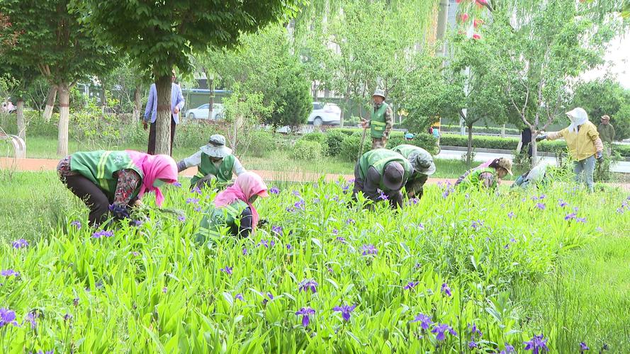 泉州永春夏季草木生长旺 园林部门管护忙 范文模稿