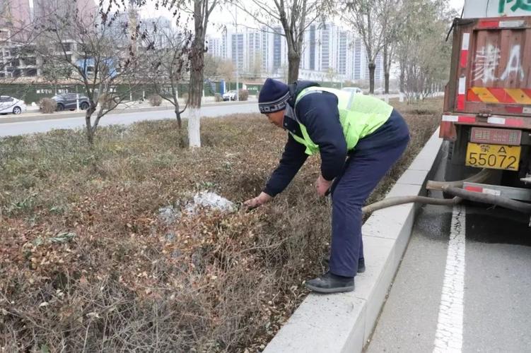 做好冬季养护工作 确保绿植安全越冬 范文模稿