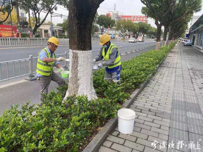 南京江宁开发区多措并举开展冬季绿化养护 范文模稿