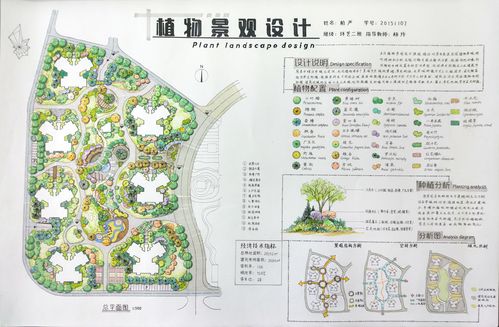 谈植物造景方法与节约型园林绿化 范文模稿