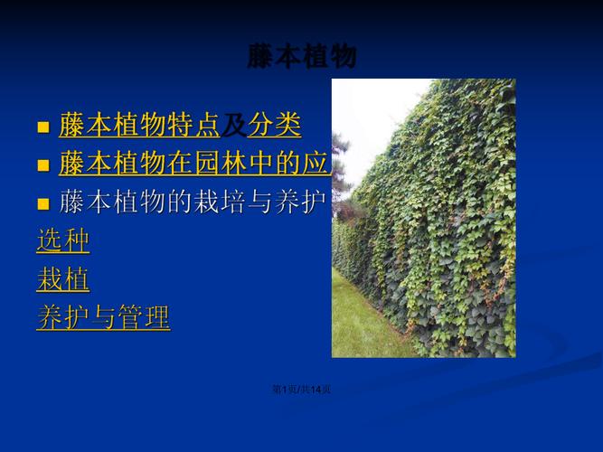 大树移植园林植物栽培养护实操课说课 范文模稿