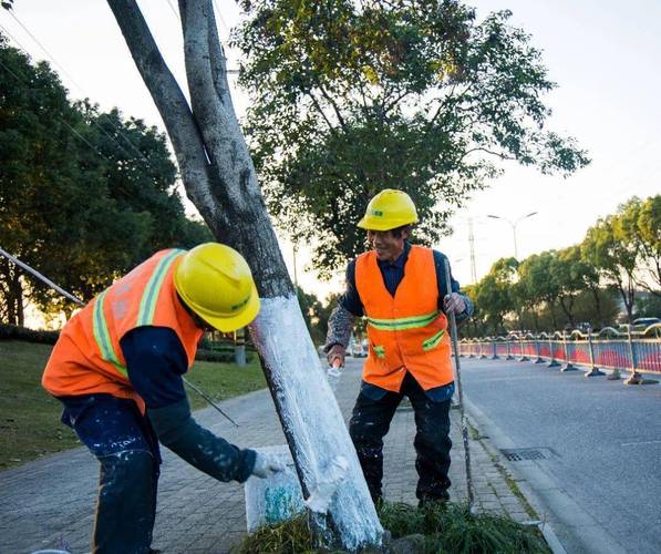 速冻模式下浦东树木防寒道路养护有条不紊 范文模稿