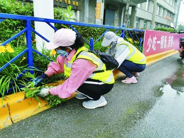 白山市住建局夏季绿化养护实现精细化管理 范文模稿