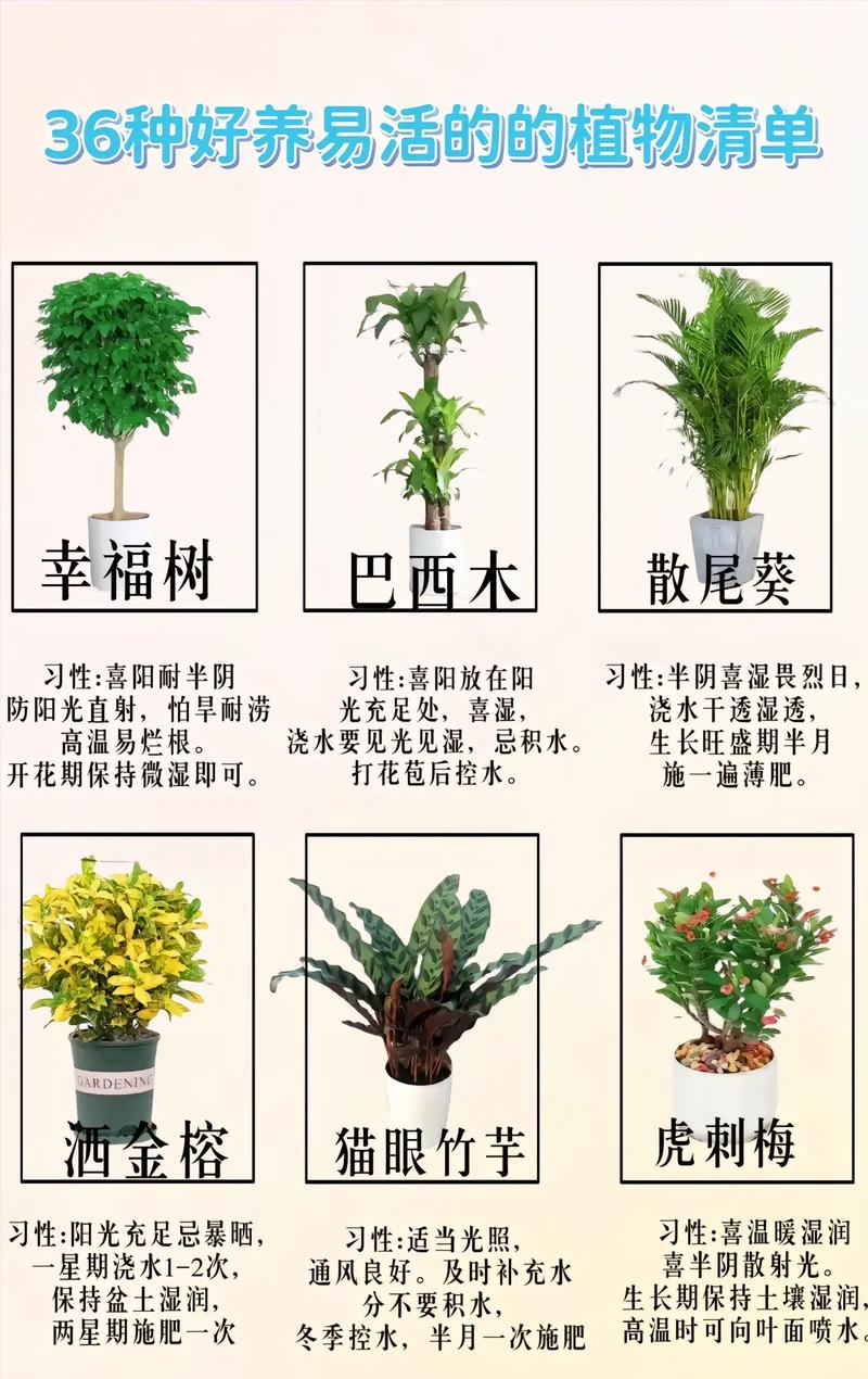 小盆栽养护全攻略让你的绿植生机盎然 范文模稿