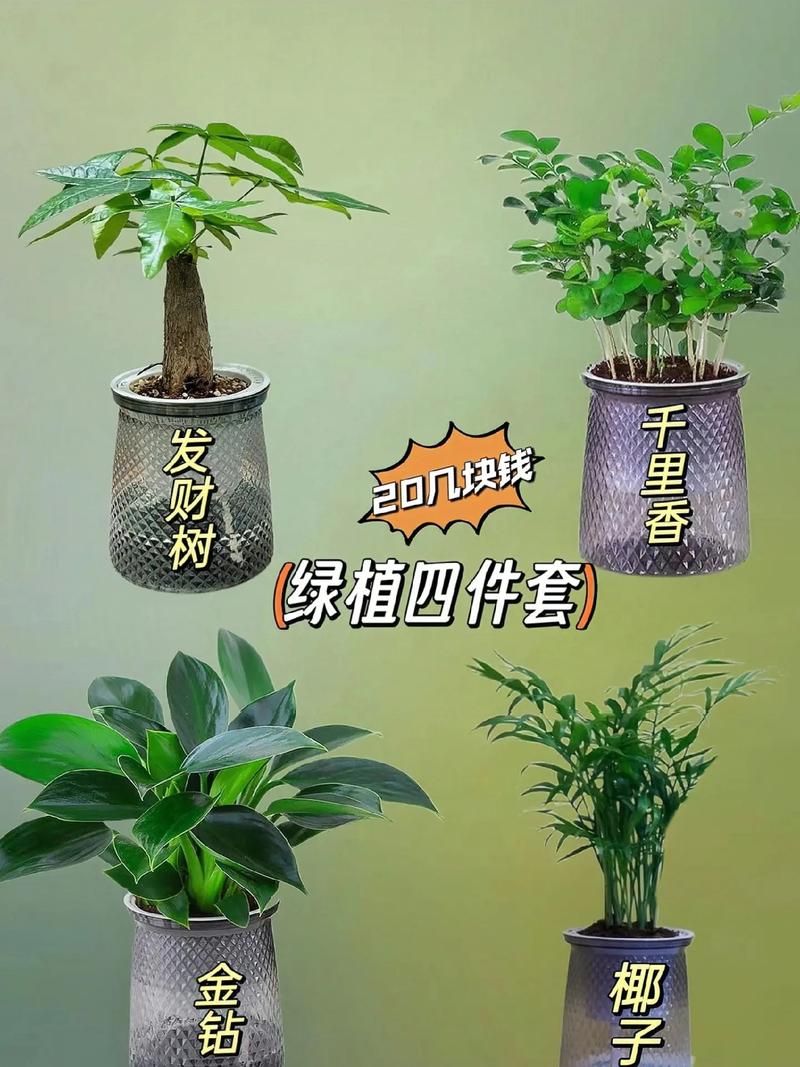 绿意蛊然家居植物养护秘诀轻松打造绿色生活空间 范文模稿