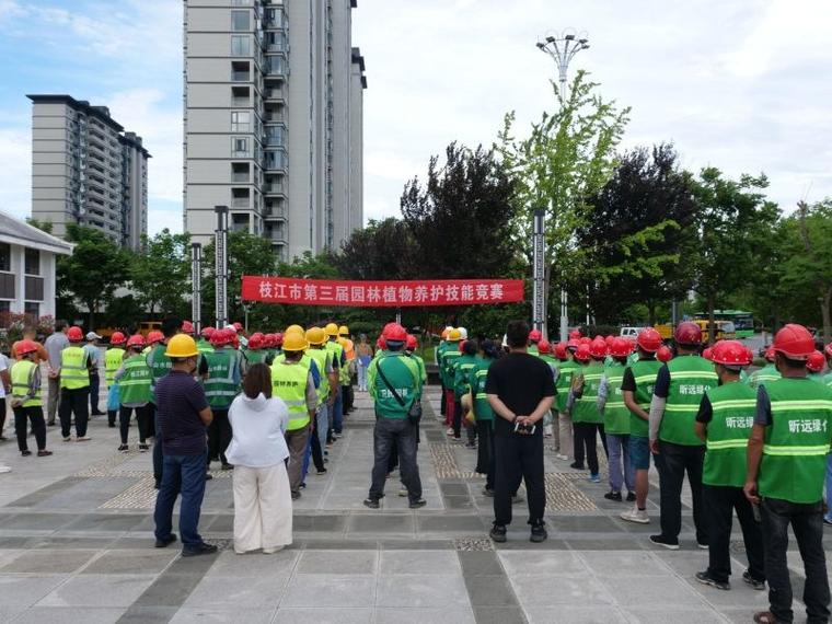 以赛促练 以比促学 枝江市第三届园林植物养护技能竞赛成功举办 范文模稿