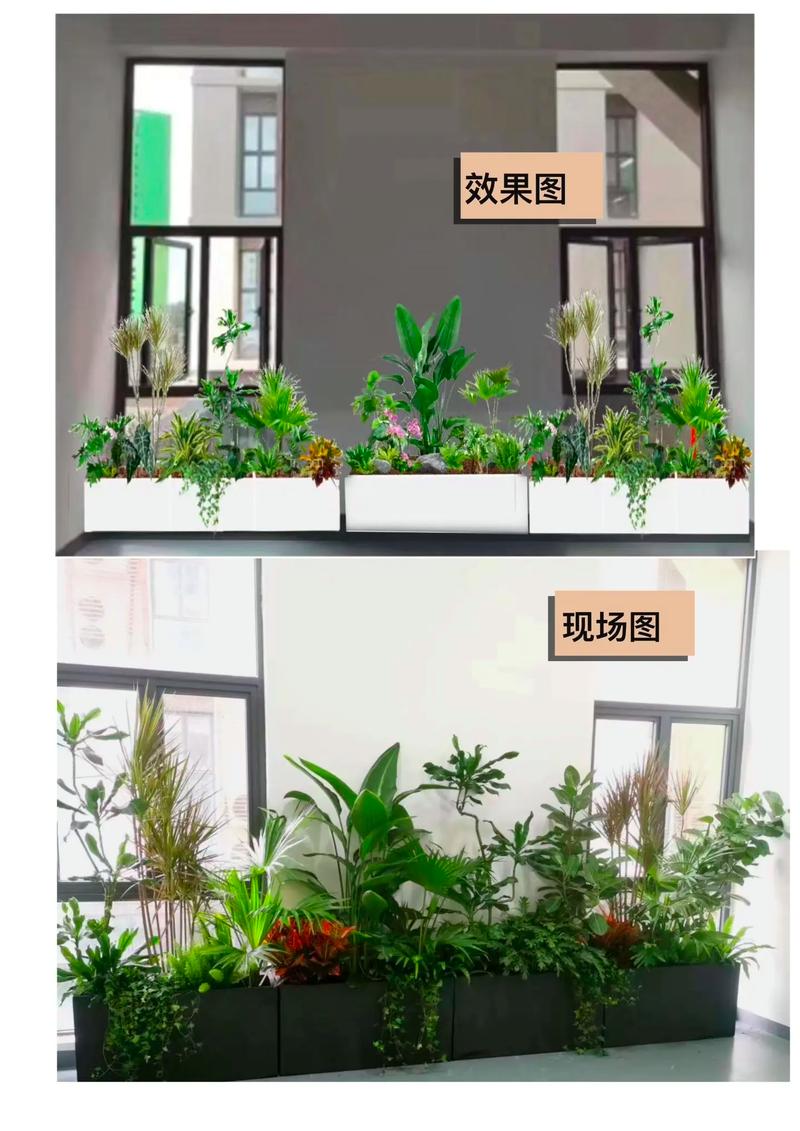 花箱如何栽植与养护管理 范文模稿