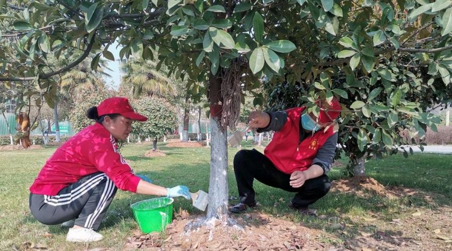 平桥区加强苗木管护共建绿色家园春季绿化栽植养护工作进行时 范文模稿