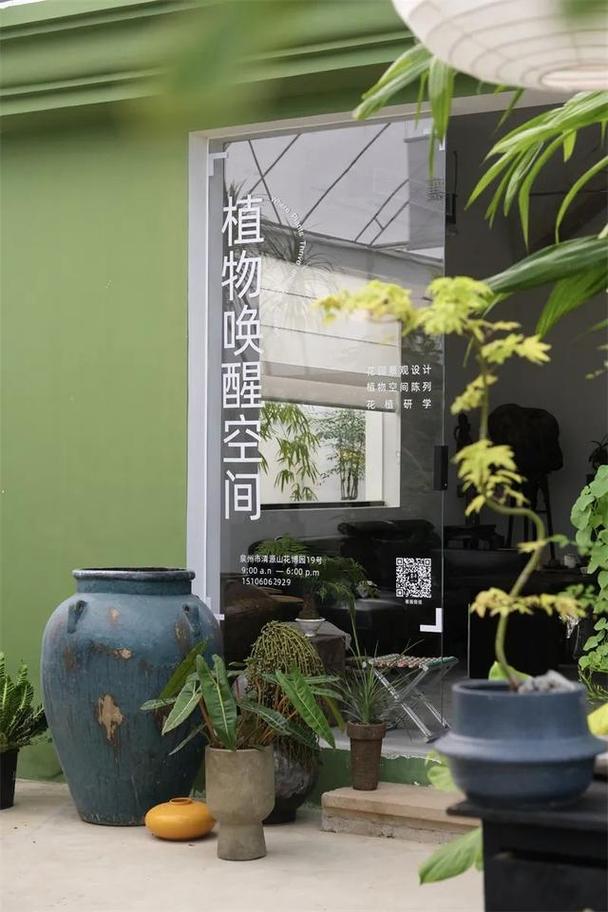 这家高端园艺店主打野性美一株植物能卖几千到数万元 范文模稿