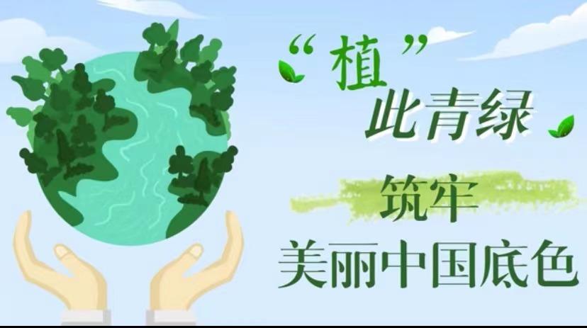 时评爱绿植绿护绿 筑牢美丽中国亮丽底色 范文模稿