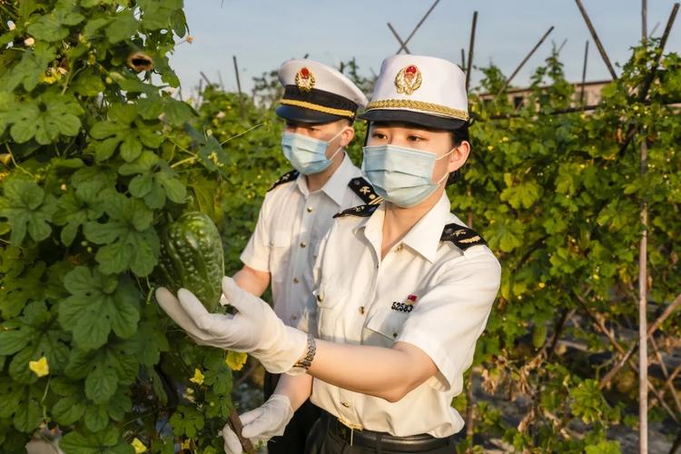 助企开拓新兴市场东莞海关为绿植组培苗设绿色通道 范文模稿