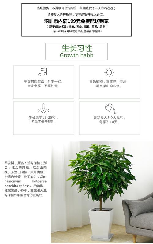 绿植租摆管养服务增值税如何处理增值税 范文模稿