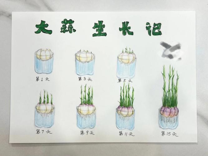 4种植物的水培方法养护遇到的问题和解决方法学一学 范文模稿