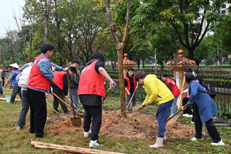 江南区各学校开展植绿护绿活动 范文模稿