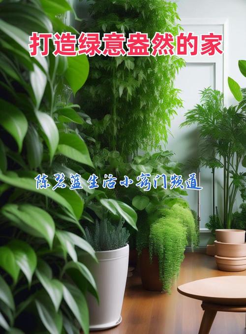 家佣小惠植物清洁保养新风尚绿意盎然由你呵护 范文模稿